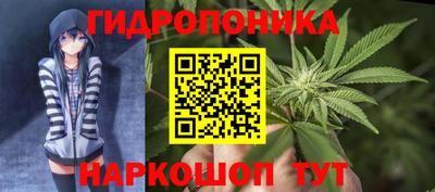 прущие крисы Лесосибирск
