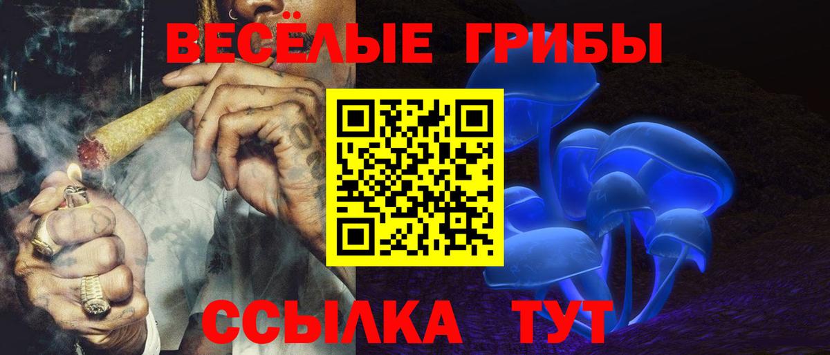 Галлюциногенные грибы прущие грибы Дзержинск
