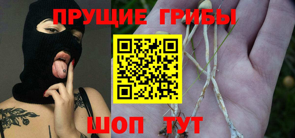 наркошоп  Галлюциногенные грибы Psilocybe  Дзержинск  Вход с VPN  Галлюциногенные грибы Cubensis 